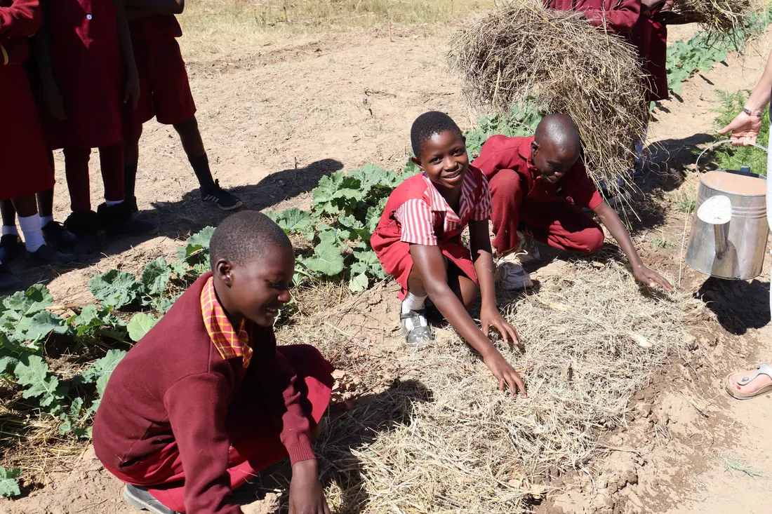 Children planting together in a school garden.