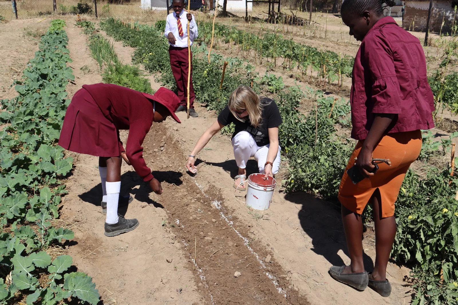 Pupils and partners working in a school garden.