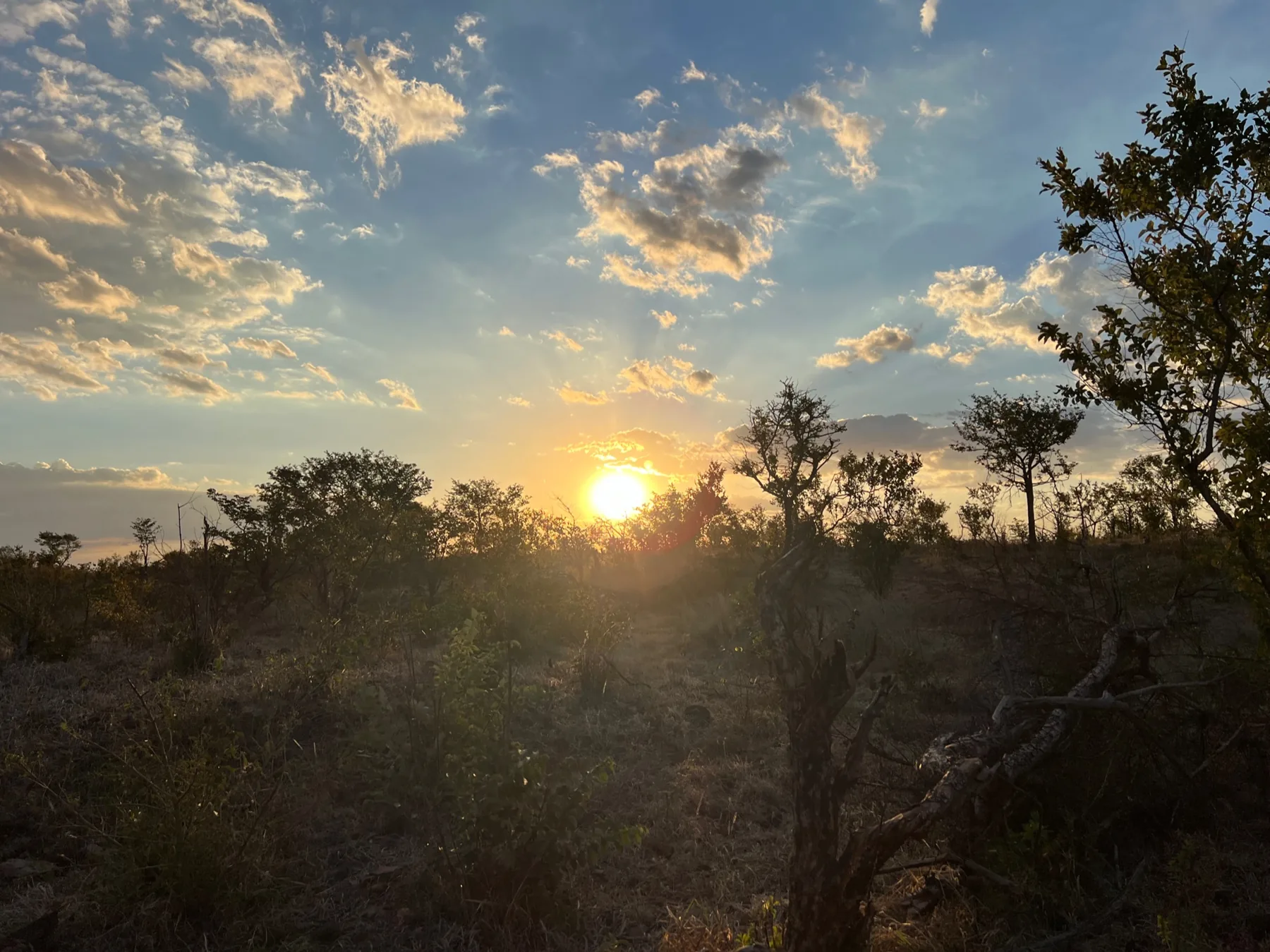 Abendliches Licht über einer Landschaft in Simbabwe.