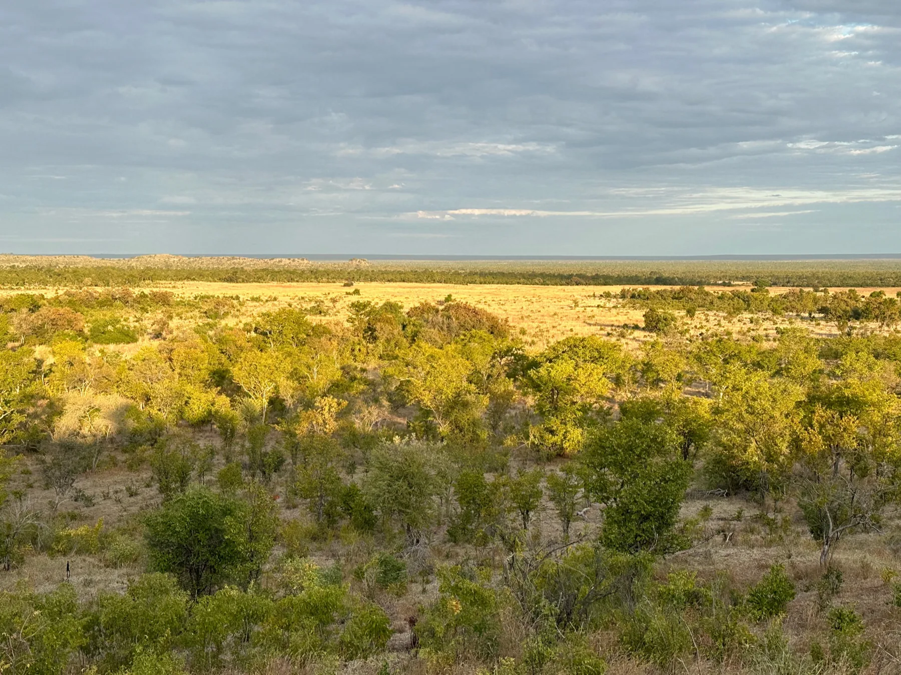 An open landscape in Zimbabwe.